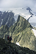 im Abstieg zurueck zum Gletscher, mit Schneeh�enerstock und Zw�chten (ganz hinten) 